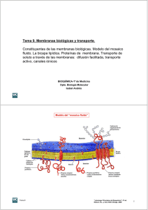 Tema 9. Membranas biológicas y transporte. Constituyentes de las