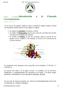 Cervicotorácica