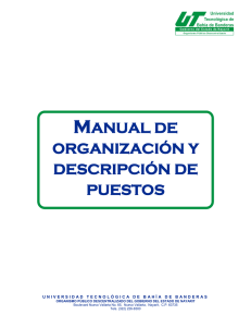 manual de organización y descripción de puestos
