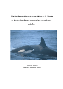 Distribución espacial de cetáceos en el Estrecho de Gibraltar en
