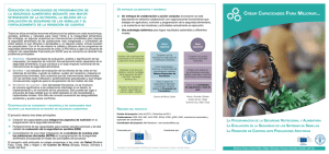 Crear capacidades para mejorar la seguridad alimentaria