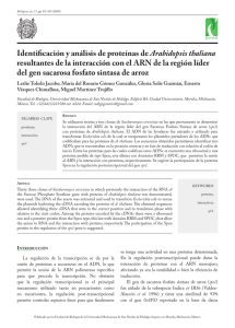 Identificación y análisis de proteínas de Arabidopsis thaliana