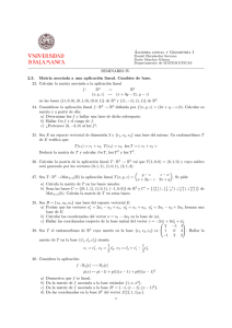 Álgebra lineal y Geometrıa I SEMINARIO IV. 2.3. Matriz