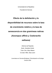 Respuesta de Axonopus affinis y Coelorachis selloana a distintas