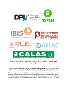 Coordinadora Andina de Organizaciones Indígenas CAOI