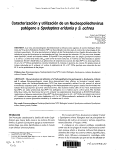 Caracterizacion y utilizacion de un nucleopoliedrovirus patogeno a