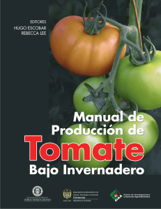 Manual de Producción de Tomate Bajo Invernadero