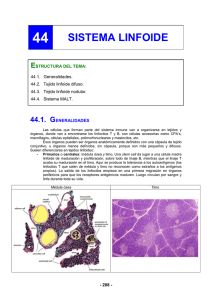 44.2. tejido linfoide difuso