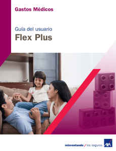Flex Plus