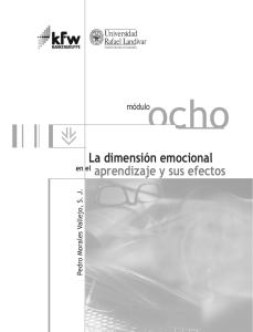 La dimensión emocional en el aprendizaje y sus efectos