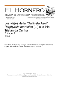 Los viajes de la “Gallineta Azul” Porphyrula martinica