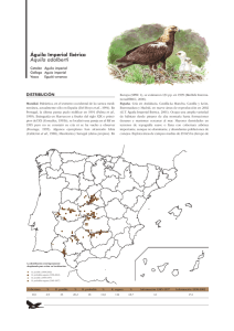 Águila Imperial Ibérica - Ministerio de Agricultura, Alimentación y