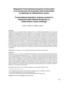 Regulación transcripcional de genes involucrados en la producción