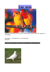 Las aves