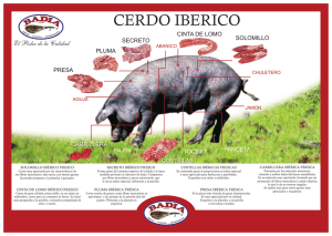 cerdo iberico - Jamones Badia