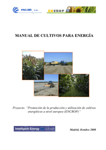 manual de cultivos para energía