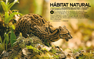 hábitat natural