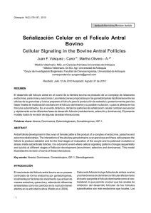 Señalización Celular en el Folículo Antral Bovino