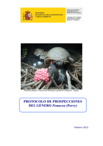 Protocolo prospecciones Pomacea