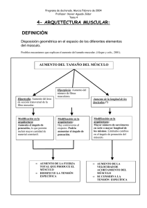 4- ARQUITECTURA MUSCULAR: DEFINICIÓN