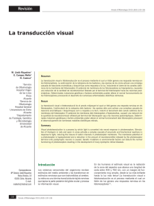 La transducción visual - RUA