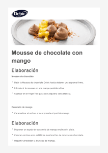Mousse de chocolate con mango