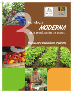 Tecnología moderna en la producción de cacao