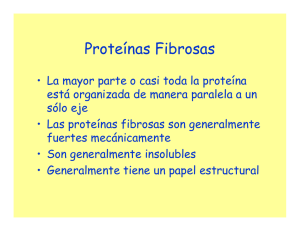 Proteínas Fibrosas