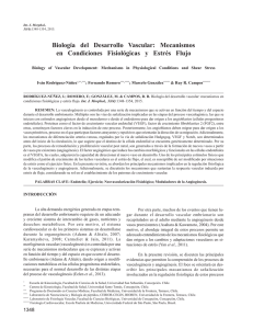 Biología del Desarrollo Vascular: Mecanismos en Condiciones
