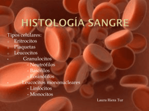 Histología sangre