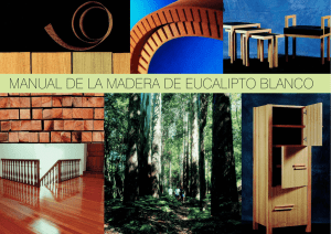Prólogo e índice - Cluster da madeira de Galicia
