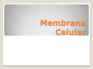 Membrana Celular 2011