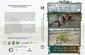 ecologica del manglar - Mangrove Restoration