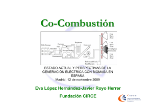 Co-Combustión - Fundación para Estudios sobre la Energía