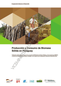 Producción y consumo de biomasa sólida en Paraguay
