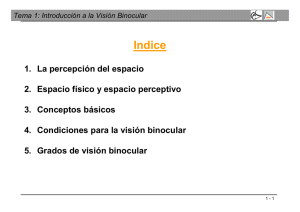 Tema 1: Introducción a la Visión Binocular