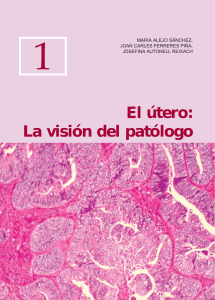 El útero: La visión del patólogo