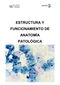 estructura y funcionamiento de anatomía patológica