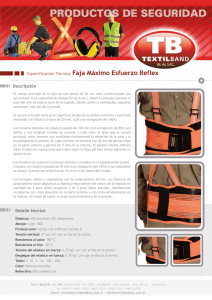 pdf maximo esfuerzo - textilband bs. as. srl