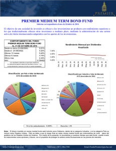 premier medium term bond fund