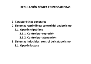 REGULACIÓN GÉNICA EN PROCARIOTAS 1. Características