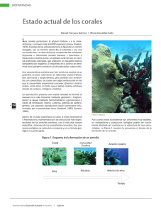 Estado actual de los corales - Secretaría de Desarrollo Urbano y