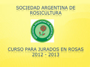 ROSAS NOISETTE - Asociación Uruguaya de la Rosa