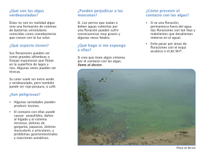¿Qué son las algas verdeazuladas? - Public Health