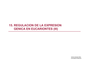 15. regulacion de la expresion genica en eucariontes