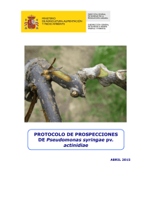 PROTOCOLO DE PROSPECCIONES DE Pseudomonas syringae