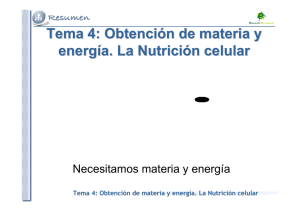 Tema 4: Obtención de materia y energía. La Nutrición celular