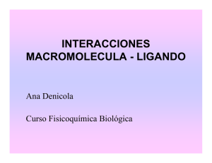interacciones macromolecula - ligando