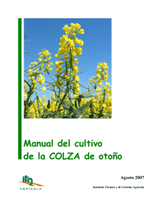 Manual del cultivo de la COLZA de otoño