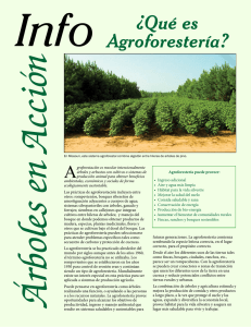 Info ¿Qué es Agroforestería? - National Agroforestry Center